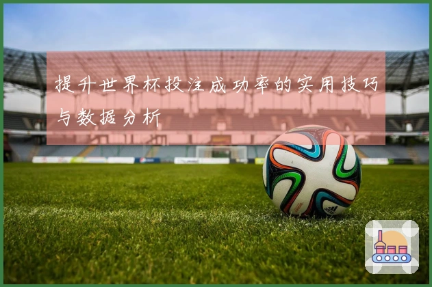 提升世界杯投注成功率的实用技巧与数据分析