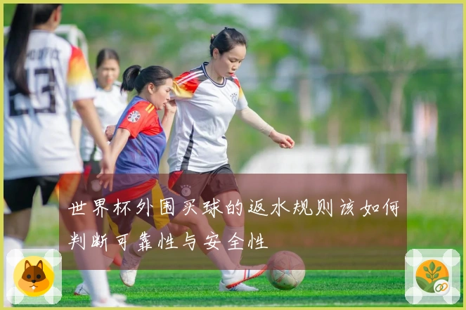 世界杯外围买球的返水规则该如何判断可靠性与安全性