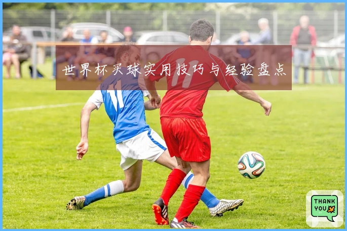 世界杯买球实用技巧与经验盘点