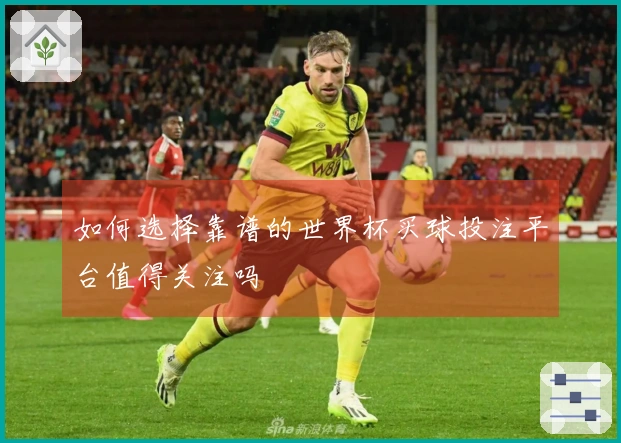 如何选择靠谱的世界杯买球投注平台值得关注吗