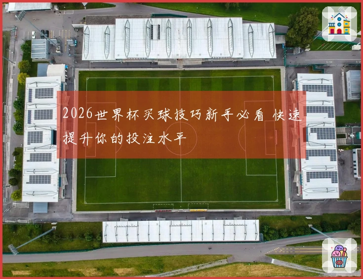 2026世界杯买球技巧新手必看 快速提升你的投注水平