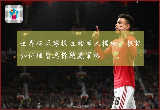 世界杯买球投注赔率大揭秘，教你如何理智选择稳赢策略