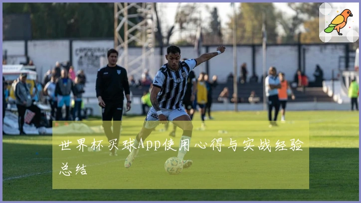 世界杯买球App使用心得与实战经验总结