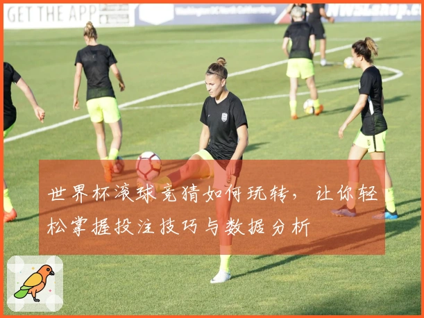 世界杯滚球竞猜如何玩转，让你轻松掌握投注技巧与数据分析