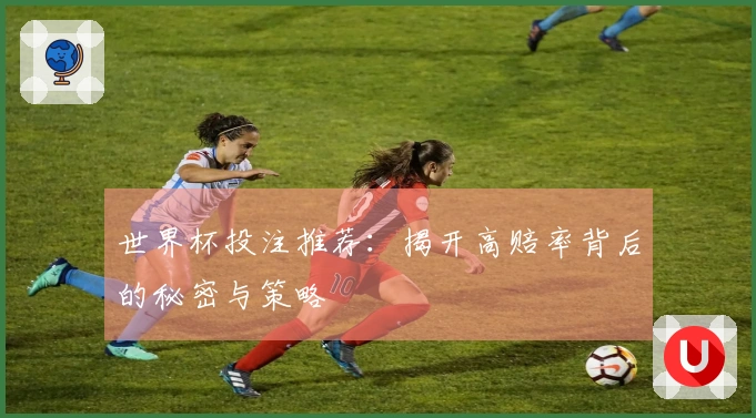 世界杯投注推荐：揭开高赔率背后的秘密与策略