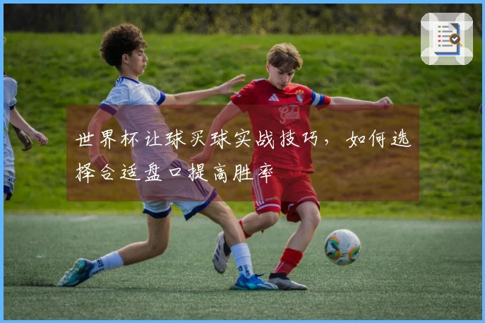 世界杯让球买球实战技巧，如何选择合适盘口提高胜率