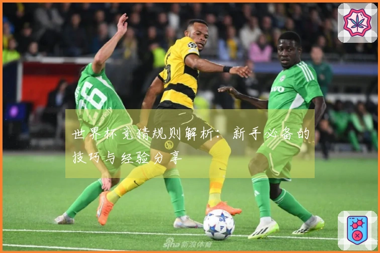 世界杯竞猜规则解析：新手必备的技巧与经验分享