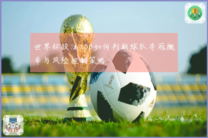世界杯投注app如何判断球队夺冠概率与风险控制策略