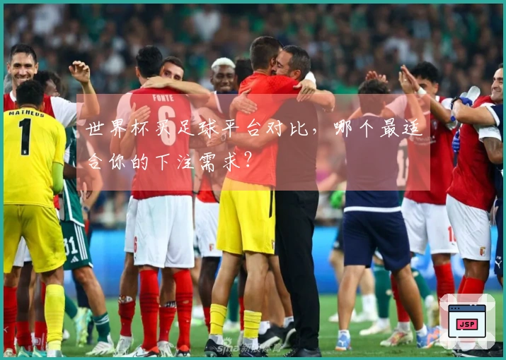 世界杯买足球平台对比，哪个最适合你的下注需求？