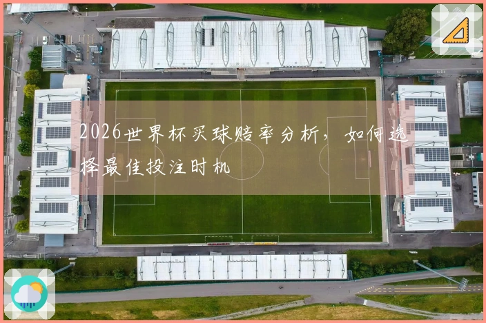 2026世界杯买球赔率分析，如何选择最佳投注时机