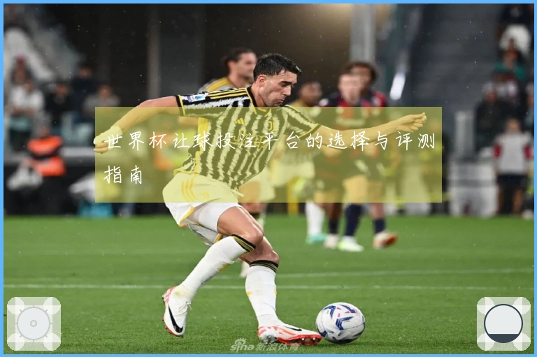 世界杯让球投注平台的选择与评测指南