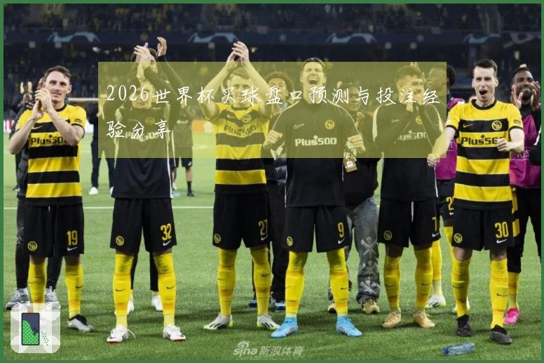 2026世界杯买球盘口预测与投注经验分享