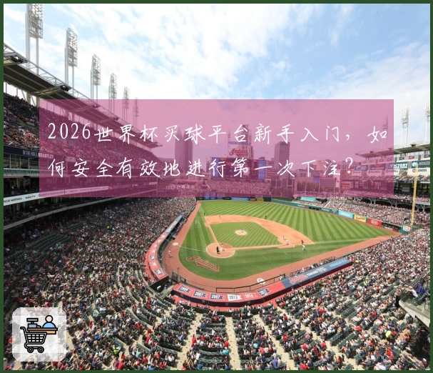 2026世界杯买球平台新手入门，如何安全有效地进行第一次下注？
