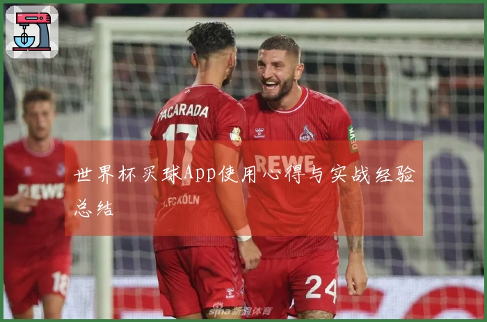 世界杯买球App使用心得与实战经验总结