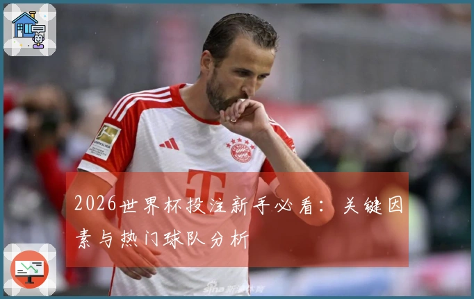 2026世界杯投注新手必看：关键因素与热门球队分析
