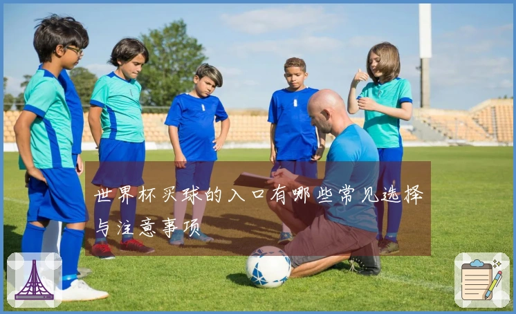 世界杯买球的入口有哪些常见选择与注意事项