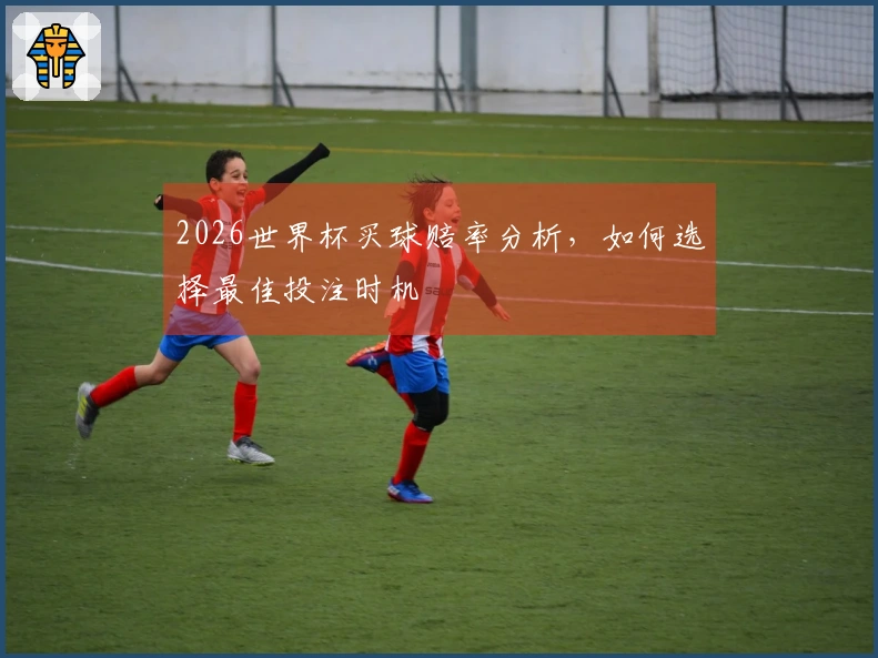 2026世界杯买球赔率分析，如何选择最佳投注时机