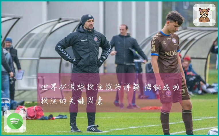 世界杯滚球投注技巧详解 揭秘成功投注的关键因素