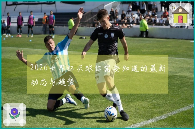 2026世界杯买球你需要知道的最新动态与趋势