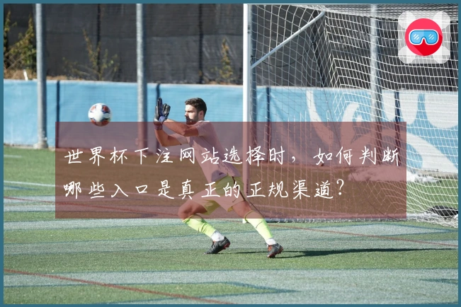 世界杯下注网站选择时，如何判断哪些入口是真正的正规渠道？