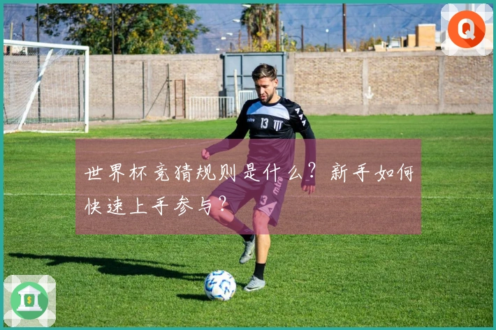 世界杯竞猜规则是什么？新手如何快速上手参与？
