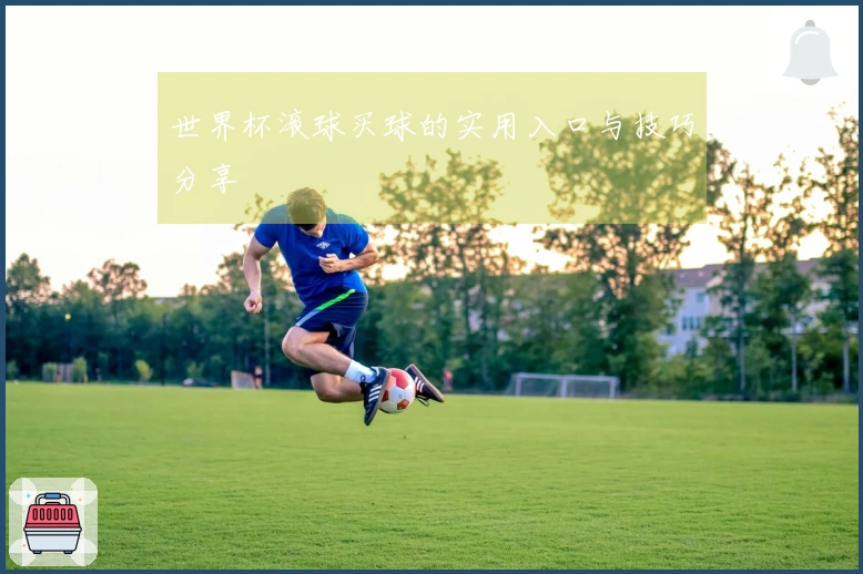 世界杯滚球买球的实用入口与技巧分享