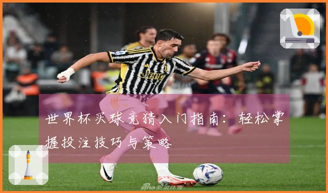世界杯买球竞猜入门指南：轻松掌握投注技巧与策略