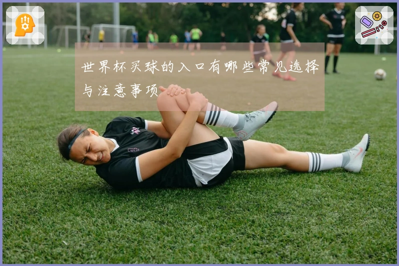世界杯买球的入口有哪些常见选择与注意事项